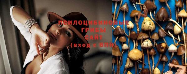 ALPHA PVP Нефтекумск