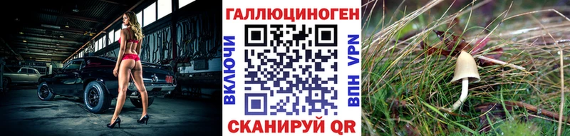 Галлюциногенные грибы Psilocybine cubensis  Ялта 