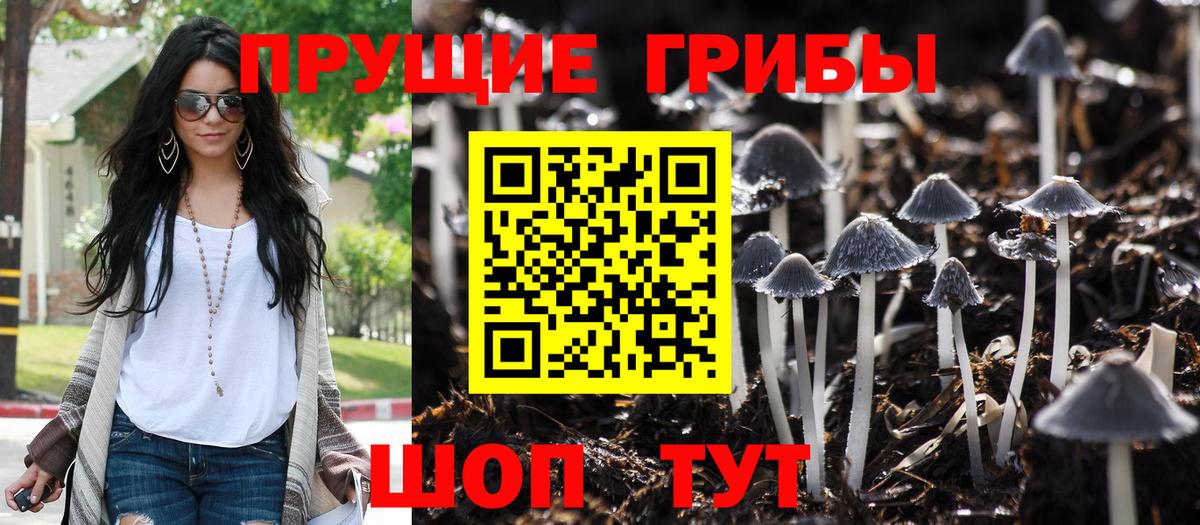 Псилоцибиновые грибы мицелий Ялта